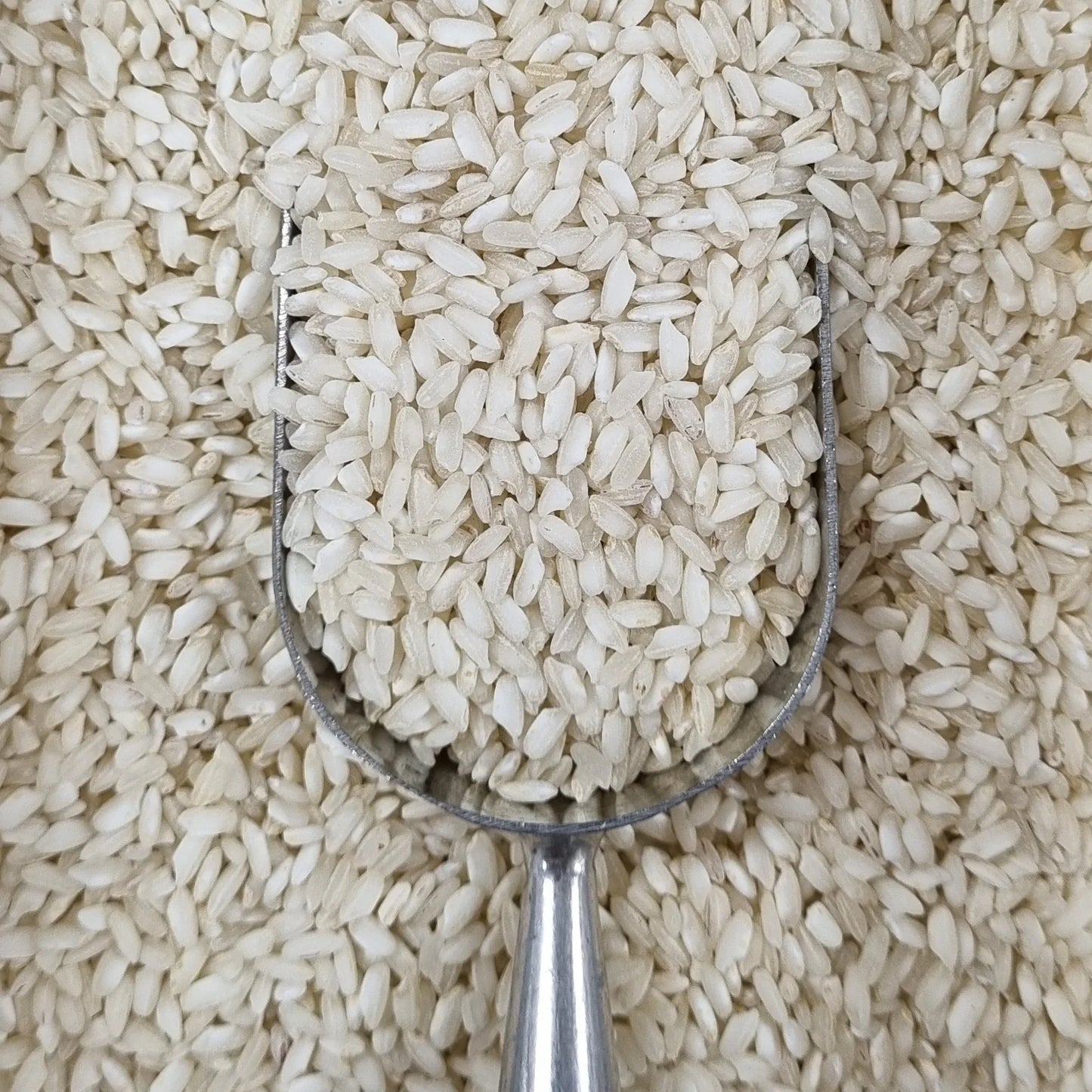 Arborio Rice - Organic 500g