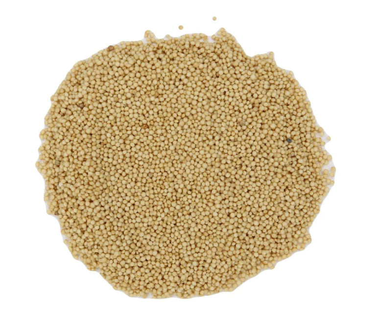 Amaranth ORGANIC