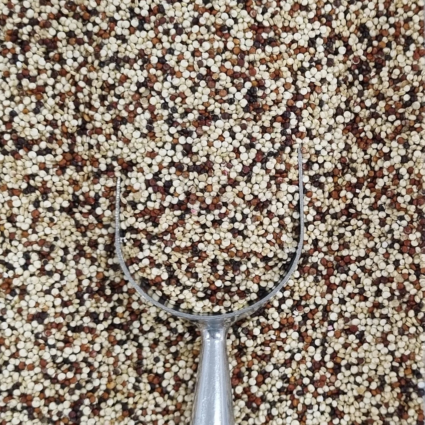 Tricolour Quinoa ORGANIC 500g