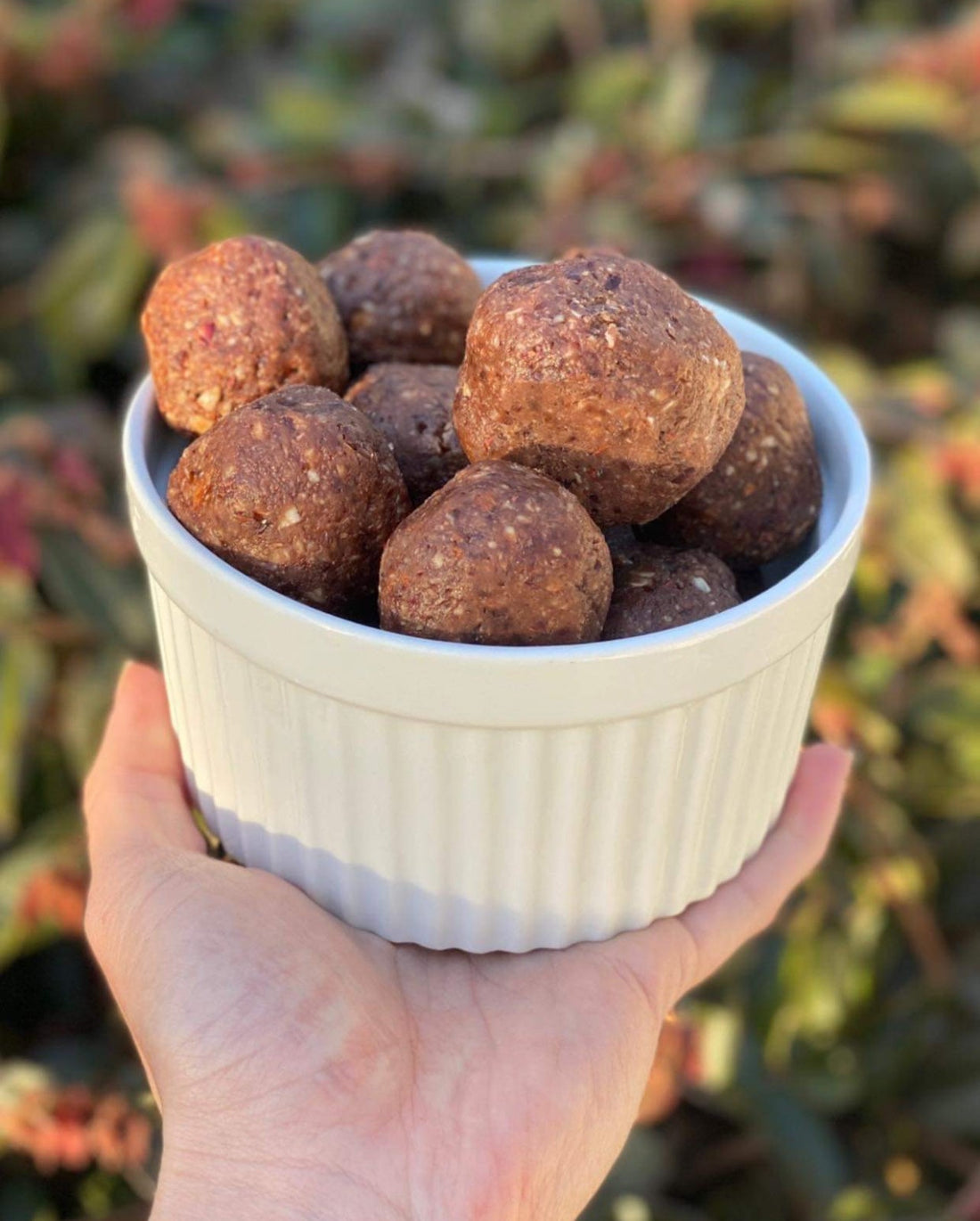 Date and Coconut Bliss Balls Gluten Free