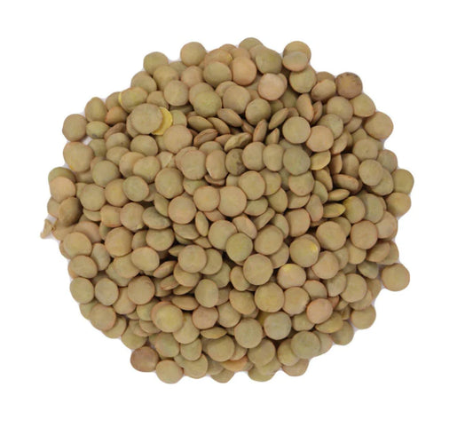 Green Lentils ORGANIC 500g