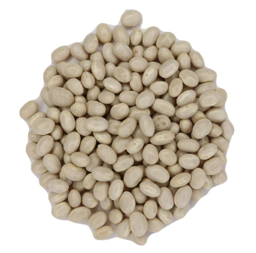Navy Beans (100%)