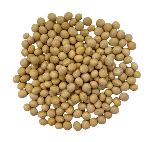 Soy Bean - Organic - Biodynamic